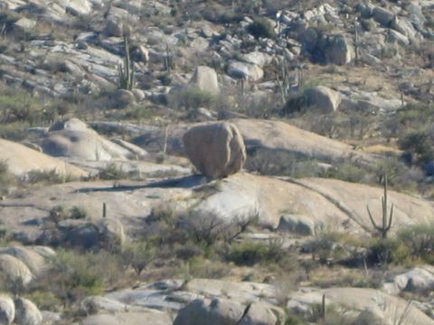 1968 Ford Mustang - A desert scene with unique rock formations and sparse vegetation.