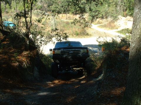 1995 Ford Bronco - Lifted black 1995 Ford Bronco navigates a dirt road with trees and foliage.