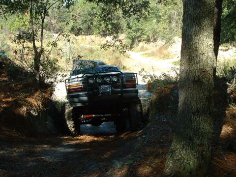 1995 Ford Bronco - This modified SUV navigates a narrow, wooded trail with significant ground clearance.