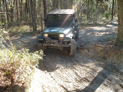 1995 Ford Bronco - A Jeep Wrangler navigates a challenging muddy path through a dense forest.