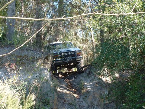 1995 Ford Bronco - This 1995 Ford Bronco tackles a challenging off-road path, its front end angled upwards on a steep incline surrounded by dense foliage.