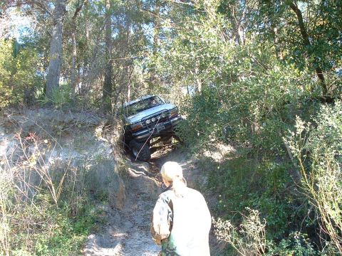1995 Ford Bronco - This vehicle is navigating a challenging off-road trail through a wooded area.
