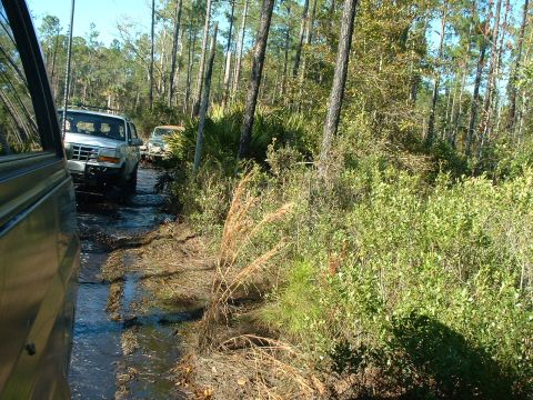 1995 Ford Bronco - A silver 1995 Ford Bronco navigates a muddy trail surrounded by dense foliage.