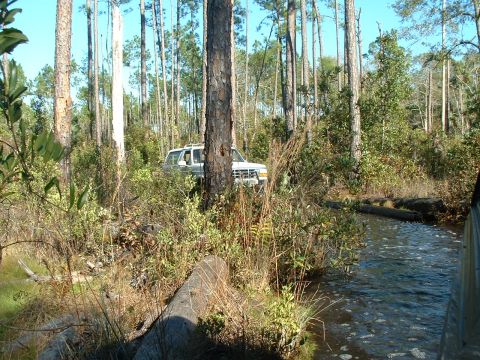 1995 Ford Bronco - A 1995 Ford Bronco navigates a wooded trail with water on the right side.