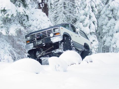 1986 Ford Bronco - A white 1980s Ford Bronco navigates a snowy forest with its large tires digging into the snow.
