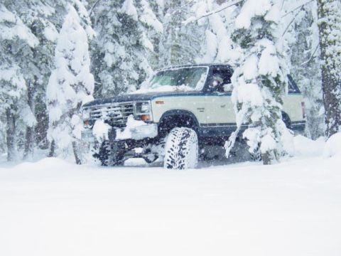 1986 Ford Bronco - A two-tone Ford Bronco navigates a snow-covered forest trail.