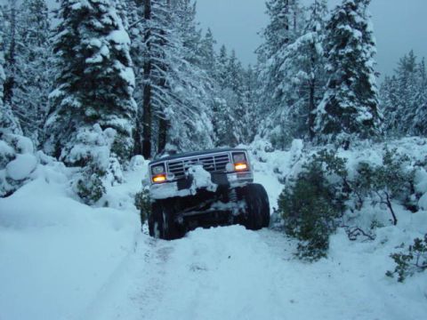 1986 Ford Bronco - A 1986 Ford Bronco navigates a snow-covered trail surrounded by pine trees.
