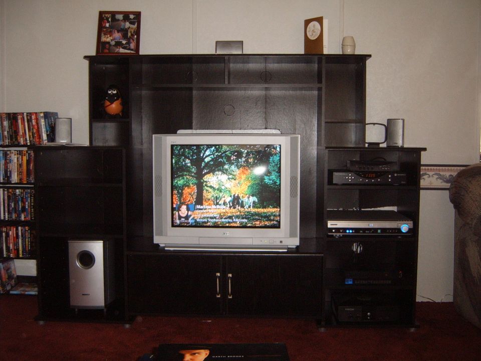 Entertainment center with television displaying a fall scene, flanked by bookshelves and audio equipment