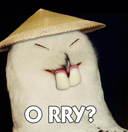 1992 Ford Probe - A humorous image of an owl with a hat and buck teeth, accompanied by text and a website logo.