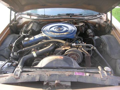 1975 Ford Ranchero - What I started with. It looks alot better now.