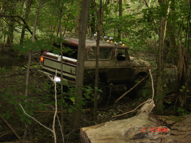 1978 Ford Bronco “bronc”
