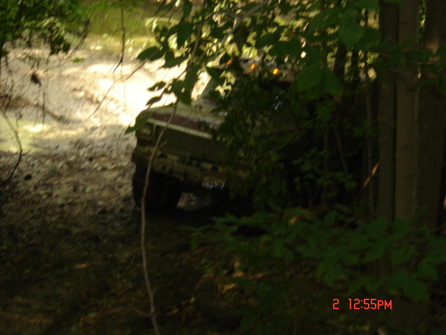 Truck partially hidden by trees, driving through muddy terrain. Water is visible in the background