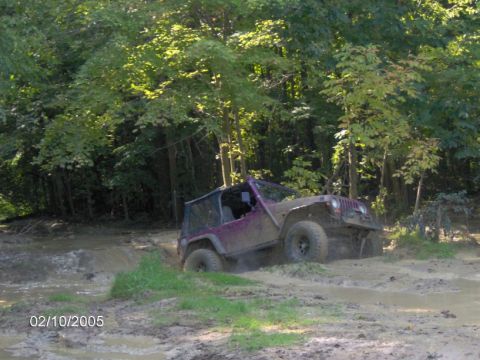 1978 Ford Bronco - A purple Jeep Wrangler navigates a muddy trail surrounded by dense trees.