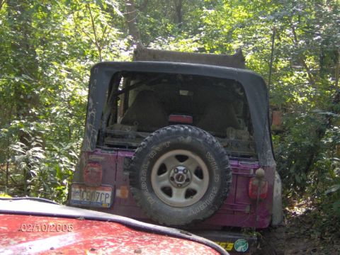 1978 Ford Bronco - A purple Jeep Wrangler is seen from the rear, parked in a wooded area with another vehicle in the foreground.