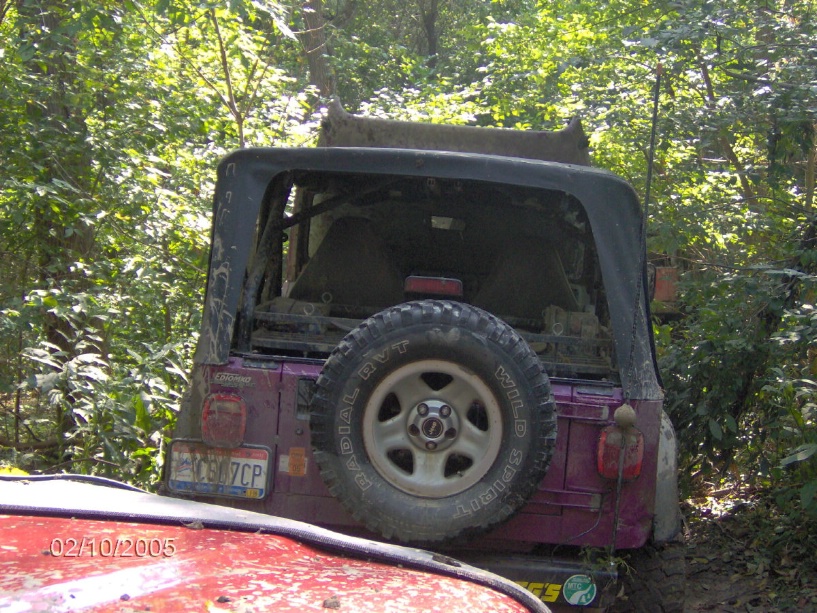 Purple Jeep Wrangler rear view with spare tire and license plate