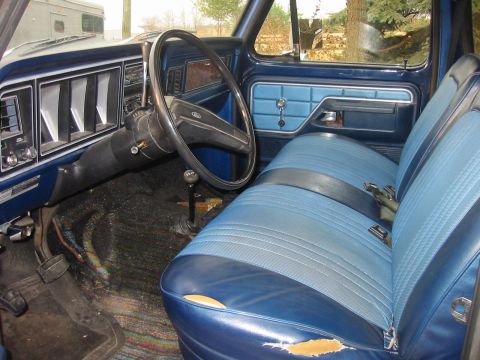 1978 Ford F-150 photo