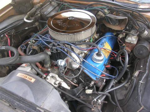 1975 Ford Ranchero - The engine now. All nice and pretty and new.