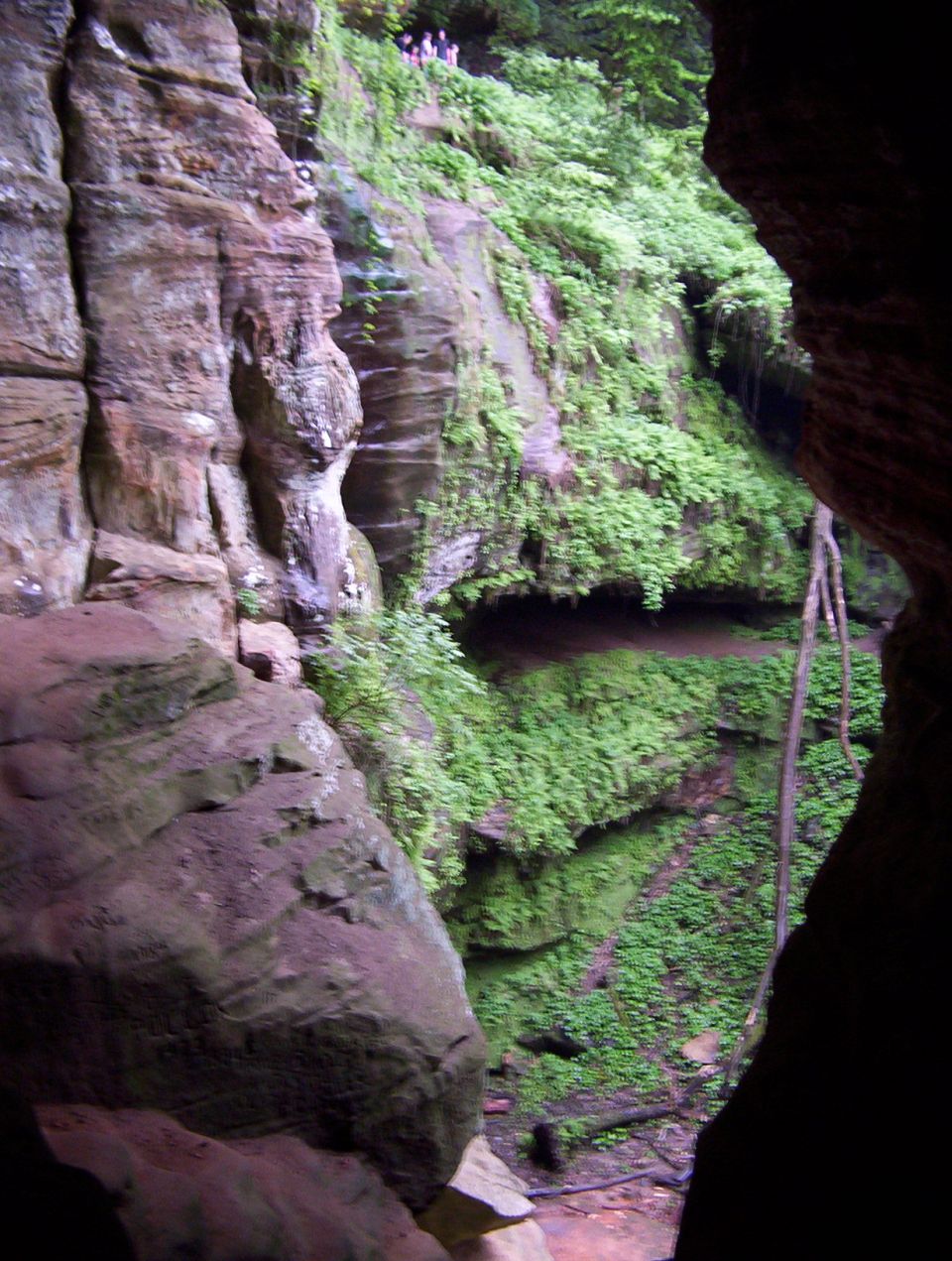 Sandstone canyon walls with green moss and ferns, people standing on a ledge above