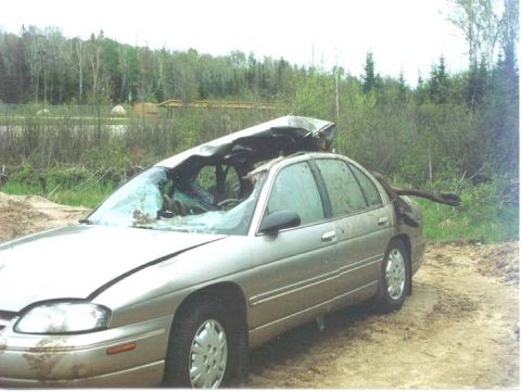 1984 Ford Bronco - A silver sedan sits damaged with its roof caved in and a large branch stuck in its body.
