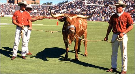 1993 Ford Bronco - A steer is led across a football field by two handlers, with a stadium full of spectators visible.