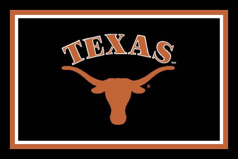 1993 Ford Bronco - Texas Longhorns logo the word TEXAS and a longhorn steer head.