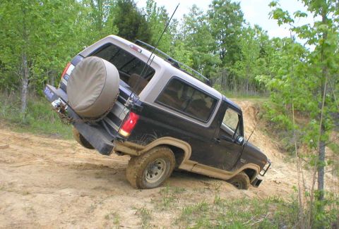 1983 Ford Bronco - I just noticed that the previous pic is tilted, so I've straightened it out. Note the trees in the background.