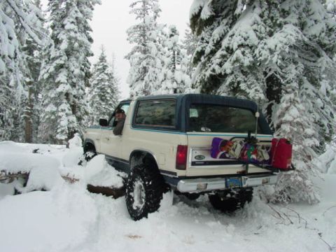 1986 Ford Bronco - A 1986 Ford Bronco navigates a snowy forest road, equipped with snowboards and a red gas can on its rear carrier.