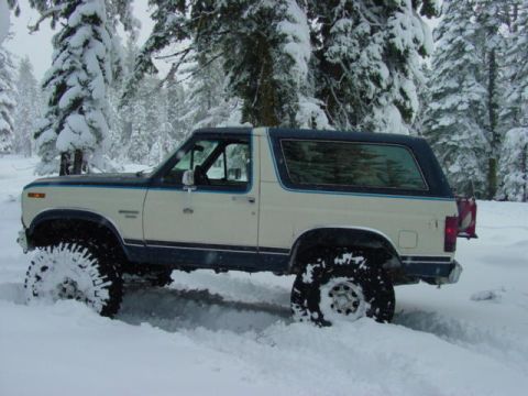 1986 Ford Bronco - 1986 Ford Bronco navigating a snowy forest road.