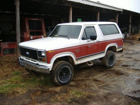 1984 Ford Bronco photo