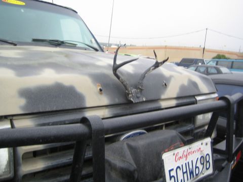 1990 Ford Bronco - Close-up of a camouflage-painted Ford truck's hood with a set of deer antlers resting on it and a California license plate reading 5CHW698.