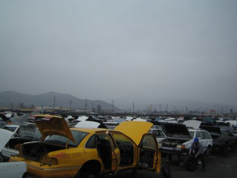 1990 Ford Bronco - crowded auto salvage yard filled with rows of parked cars with open hoods and doors, including a yellow sedan, under an overcast sky with h…