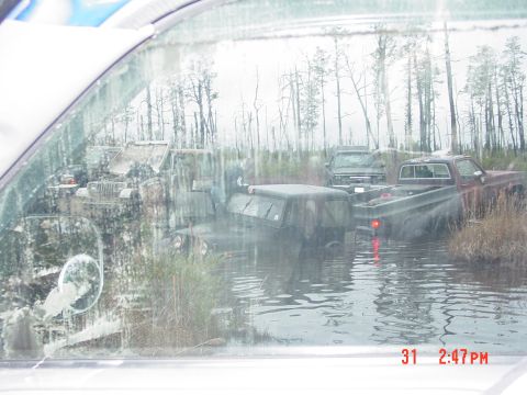 1995 Dodge 1500 - Multiple vehicles are stuck in a flooded area with trees visible in the distance.