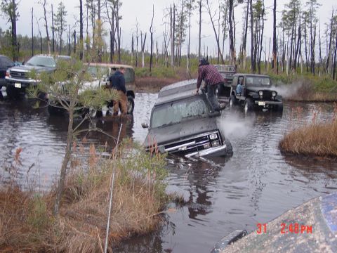 1995 Dodge 1500 - Multiple off-road vehicles are navigating through a flooded, wooded area.