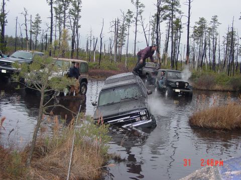 1995 Dodge 1500 - Multiple off-road vehicles navigate through a flooded wooded area, with one van stuck in the water.