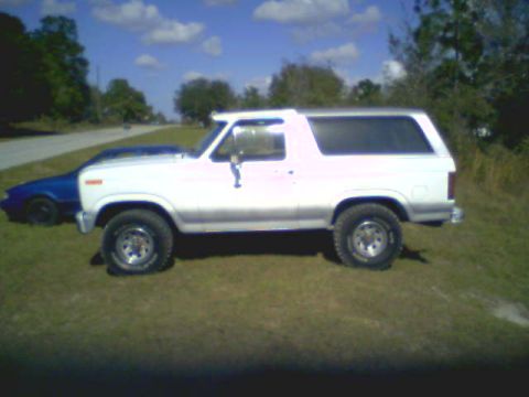 1983 Ford Bronco - A white SUV is parked on a grassy area next to a blue car under a partly cloudy sky.