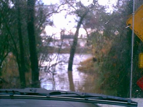 1983 Ford Bronco - There is a creek that passes behind our houses. normally you walk out 10-15' then clinb down 8-11 feet cross a creek 2' wide and climb up t…