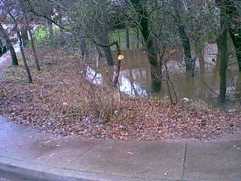 1983 Ford Bronco - This is another view of the small creek now a major river.