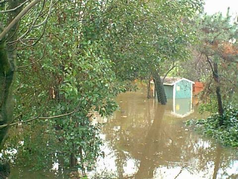 1983 Ford Bronco - These homes are down the side street near our house. the shed is a gardening shed. this is still dry creek.