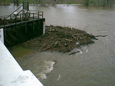 1983 Ford Bronco - there is alot of debris floating down the river. there were a few dead cows that went by too