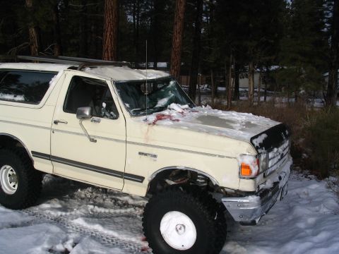 1988 Ford Bronco - A white 1988 Ford Bronco sits in the snow with a cracked windshield and blood on the hood.