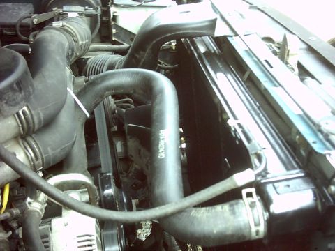 1996 Ford Bronco - Close-up view of a vehicle's engine bay, showing various components like hoses and belts.