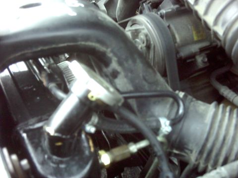 1996 Ford Bronco - A view of various engine components, including hoses and a belt, within the engine compartment.