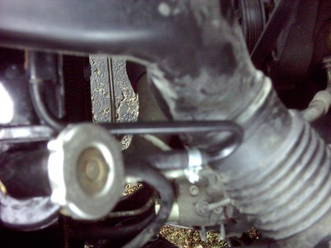 1996 Ford Bronco - Close-up view of engine components, including hoses and a metal cap, with a visible watermark for SuperMotors.net.