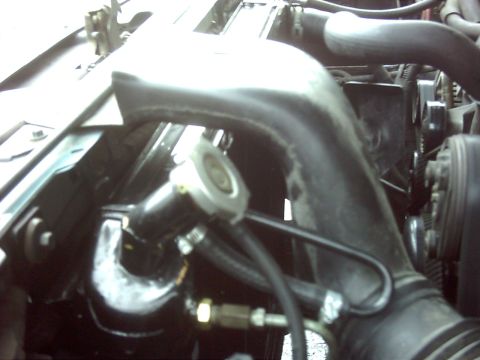 1996 Ford Bronco - Close-up view of engine components, including a radiator hose and thermostat housing.