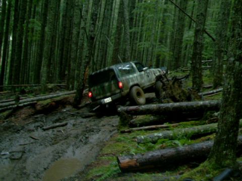 1987 Ford Bronco II - This 1987 Ford Bronco II is shown off-roading through a dense forest with muddy terrain.