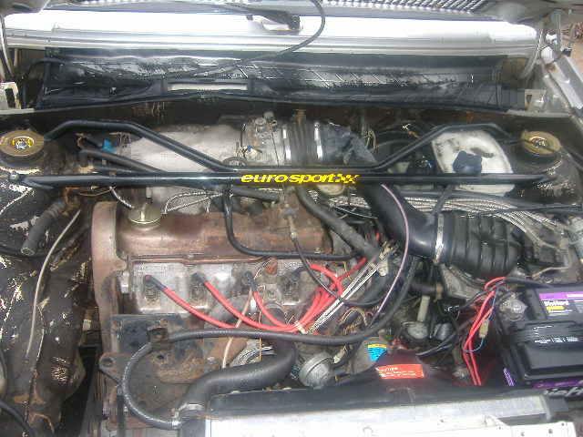 Dirty VW four-cylinder engine bay with black Eurosport strut brace and red plug wires