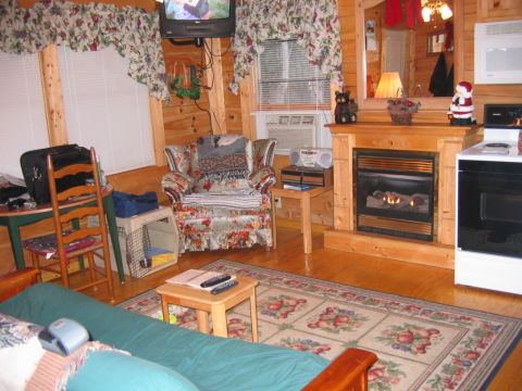 1985 Ford LTD Crown Victoria - A cozy log cabin interior features a fireplace, comfortable seating, and a television mounted on the wall.