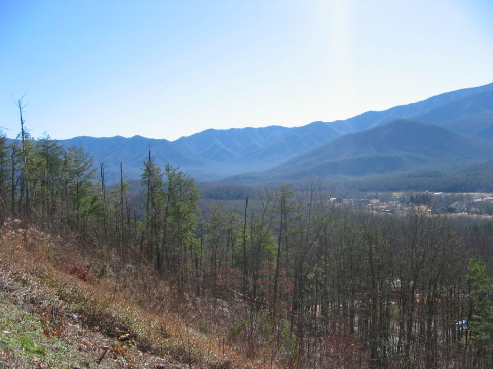 Mountain landscape with trees and a distant town under a clear blue sky