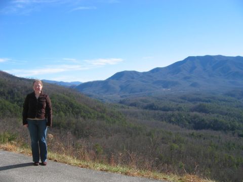 1985 Ford LTD Crown Victoria - A person stands on a road overlooking a vast mountain landscape under a clear blue sky.