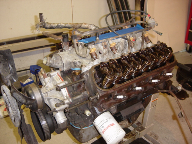Lower manifold and freshened injectors with fuel rail.